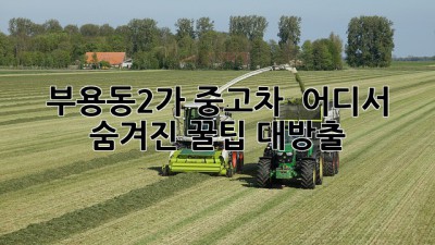 부용동2가 중고차 🚗💨 어디서? 숨겨진 꿀팁 대방출!