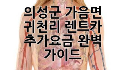 의성군 가음면 귀천리 렌트카 추가요금 완벽 가이드