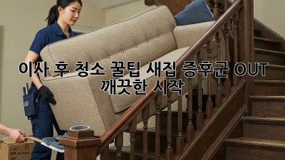 이사 후 청소 꿀팁: 새집 증후군 OUT! 깨끗한 시작!
