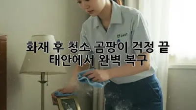 화재 후 청소, 곰팡이 걱정 끝! 태안에서 완벽 복구
